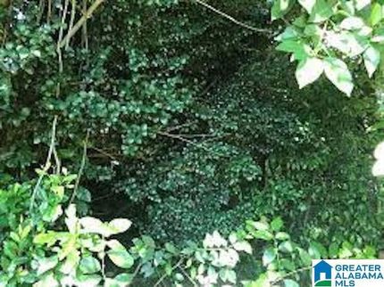 Undeveloped Land for sale in Jefferson County, Alabama