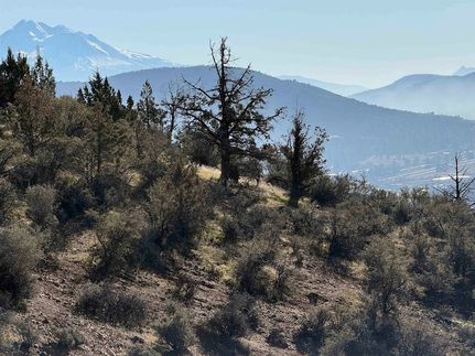Undeveloped Land for sale in Siskiyou County, California