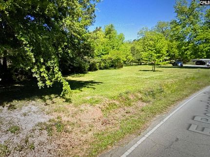 Undeveloped Land for sale in Lexington County, South Carolina