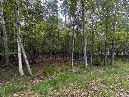 Undeveloped Land for sale in Delta County, Michigan