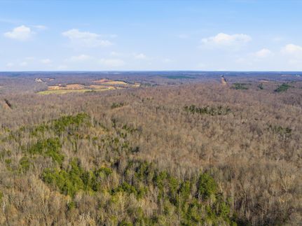 Undeveloped Land for sale in Ohio County, Kentucky