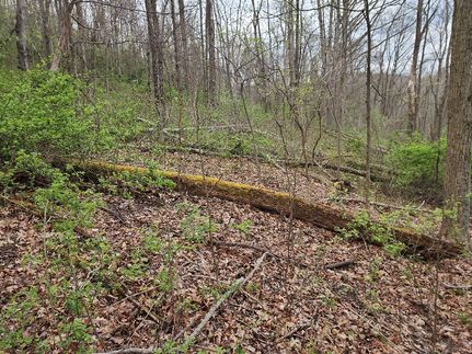 Residential Property for sale in Greene County, Pennsylvania