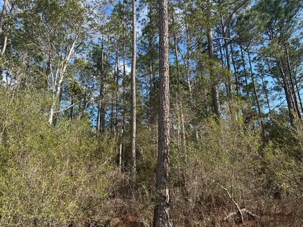 Property for sale in Washington County, Florida