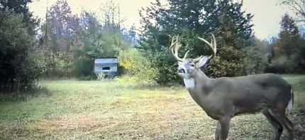 Property for sale in Wayne County, Michigan