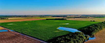Hunting Land for sale in Stafford County, Kansas