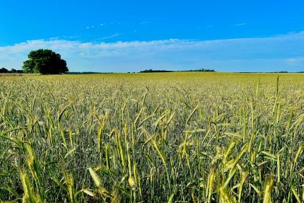 Farm Property for sale in Pratt County, Kansas