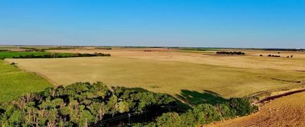 Hunting Land for sale in Pratt County, Kansas