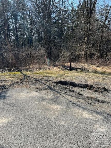 Undeveloped Land for sale in Greene County, New York
