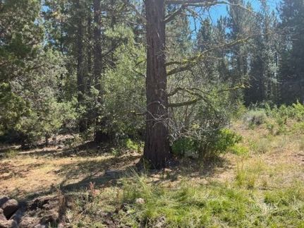 Property for sale in Lassen County, California