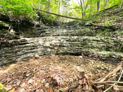 Property for sale in McDonald County, Missouri