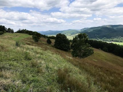 Property for sale in Highland County, Virginia