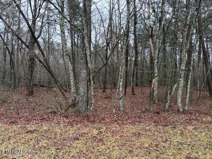 Property for sale in Putnam County, Tennessee