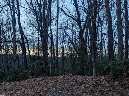 Property for sale in Greenville County, South Carolina