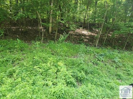 Property for sale in Henry County, Virginia