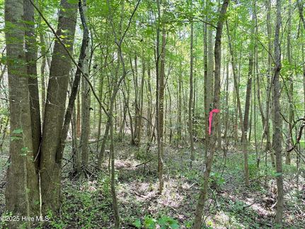 Property for sale in Hertford County, North Carolina