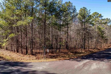 Property for sale in Saluda County, South Carolina