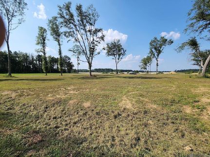 Undeveloped Land for sale in Livingston Parish, Louisiana