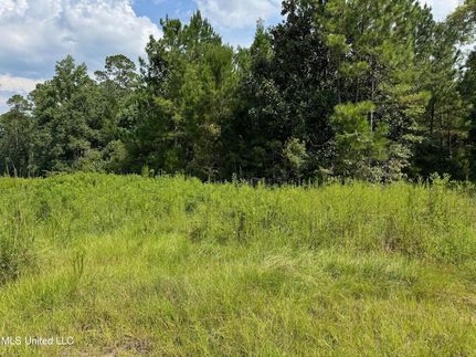 Property for sale in Pearl River County, Mississippi