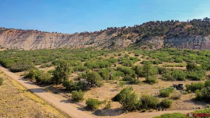 Undeveloped Land for sale in La Plata County, Colorado