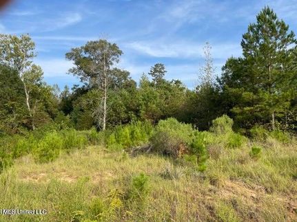 Property for sale in Rankin County, Mississippi