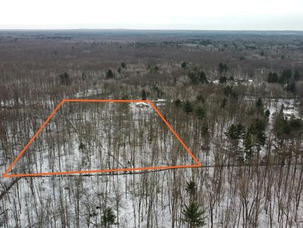 Undeveloped Land for sale in Newaygo County, Michigan