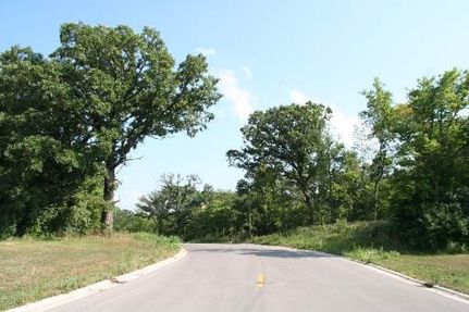 Undeveloped Land for sale in Grundy County, Illinois