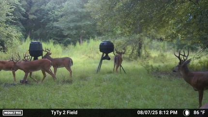 Property for sale in Worth County, Georgia