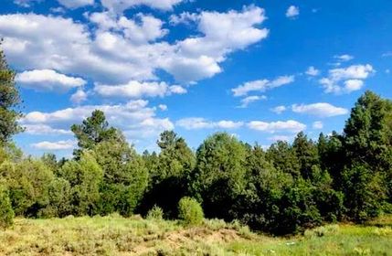 Property for sale in Archuleta County, Colorado
