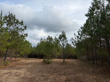 Property for sale in Washington County, Alabama