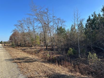 Undeveloped Land for sale in Lee County, South Carolina