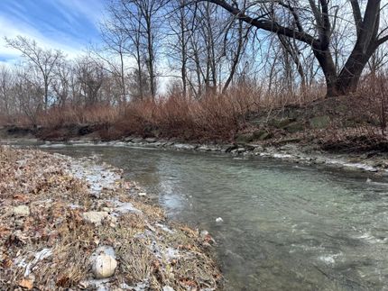 Property for sale in Livingston County, New York