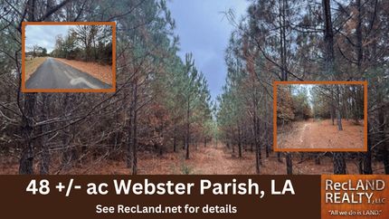 Timberland Property for sale in Webster Parish, Louisiana