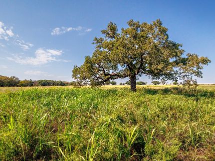 Ranch Property for sale in Comanche County, Texas
