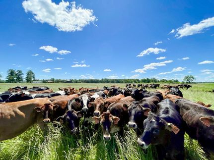 Recreational Property for sale in Juneau County, Wisconsin