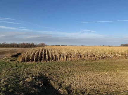 Property for sale in Olmsted County, Minnesota