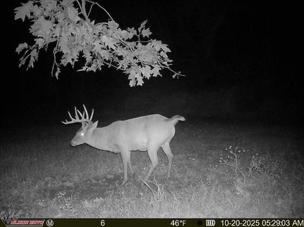 Property for sale in Alexander County, Illinois