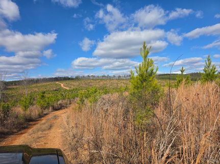 Undeveloped Land for sale in Appomattox County, Virginia