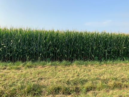 Property for sale in Piatt County, Illinois