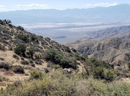 Property for sale in Clark County, Nevada