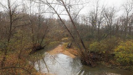 Hunting Land for sale in Fulton County, Illinois