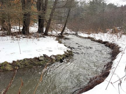 Timberland Property for sale in Allegany County, New York