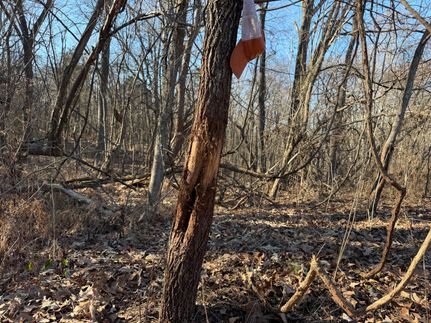 Farm Property for sale in Pope County, Illinois