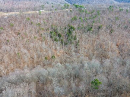Property for sale in Claiborne County, Tennessee