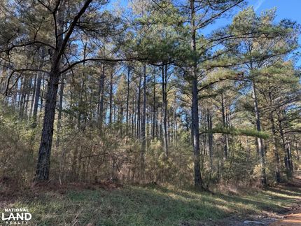 Timberland Property for sale in Tuscaloosa County, Alabama