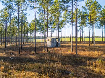 Property for sale in Lee County, Georgia