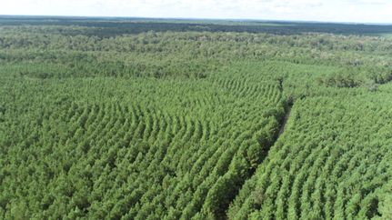 Timberland Property for sale in Sabine County, Texas