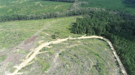 Timberland Property for sale in Jasper County, Texas