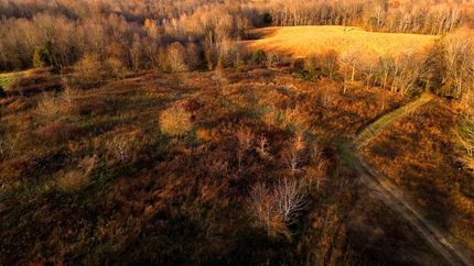 Farm Property for sale in Ohio County, Kentucky