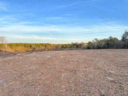 Ranch Property for sale in Marlboro County, South Carolina