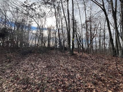 Property for sale in Meigs County, Ohio